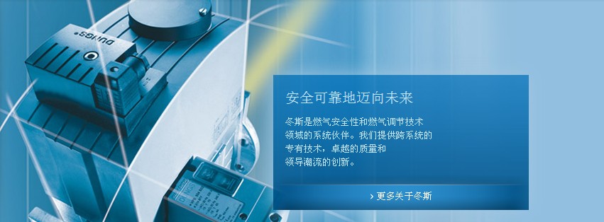 德国DUNGS,冬斯,DUNGS中国,DUNGS电磁阀