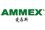 ˹AMMEX