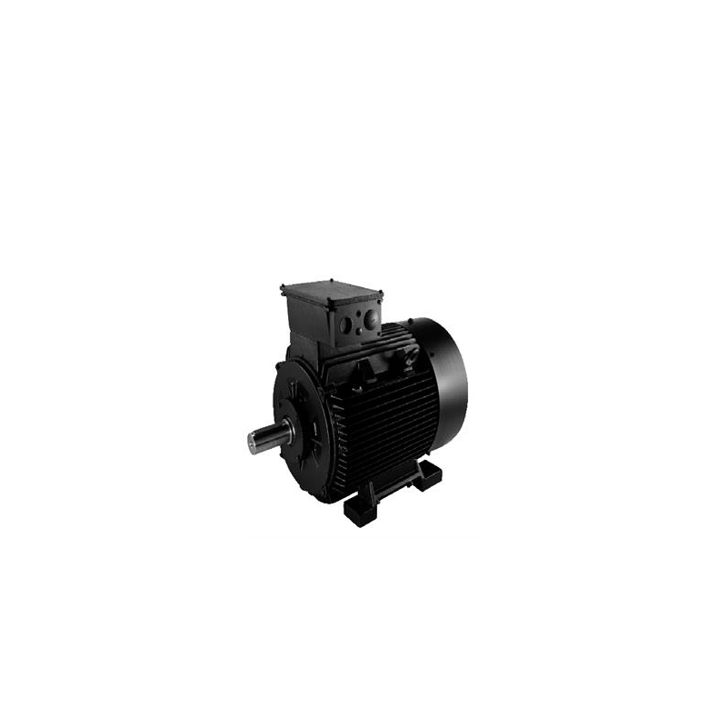 格兰富 GRUNDFOS 常规电机 INNOMOTICS_SIEMENS 315M 编号989578