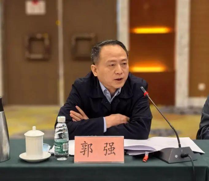中国轻工业联合会办公室主任郭强发言
