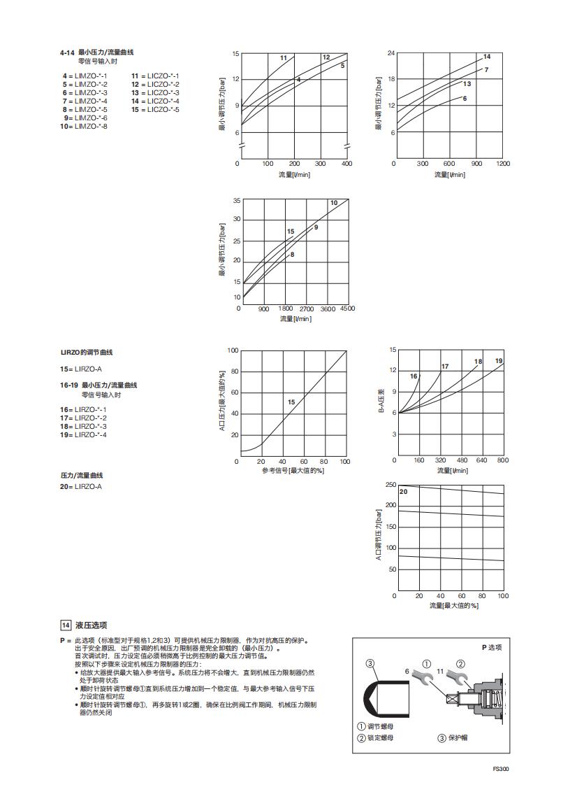 FS300_04.jpg