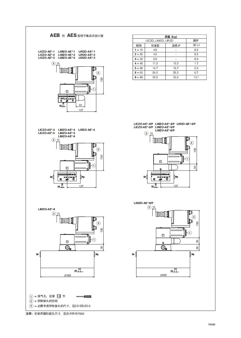 FS300_10.jpg