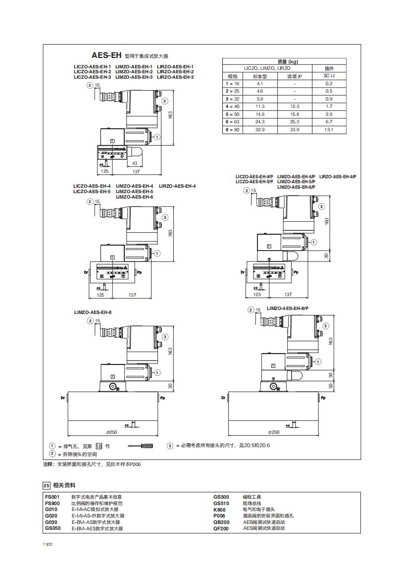 FS300_11.jpg